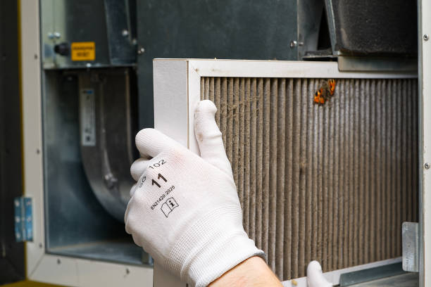Best Home Air Vent Cleaning  in Chester Gap, VA